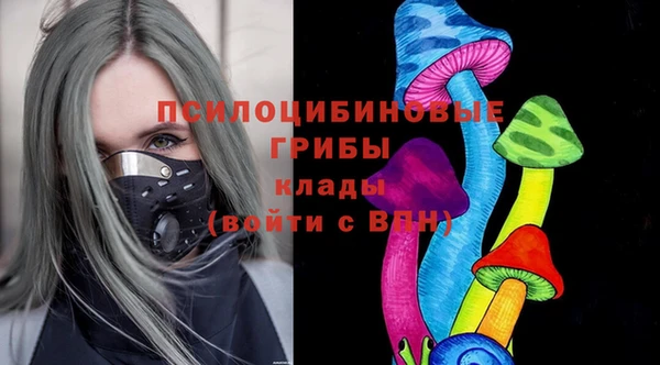 таблы Каменногорск